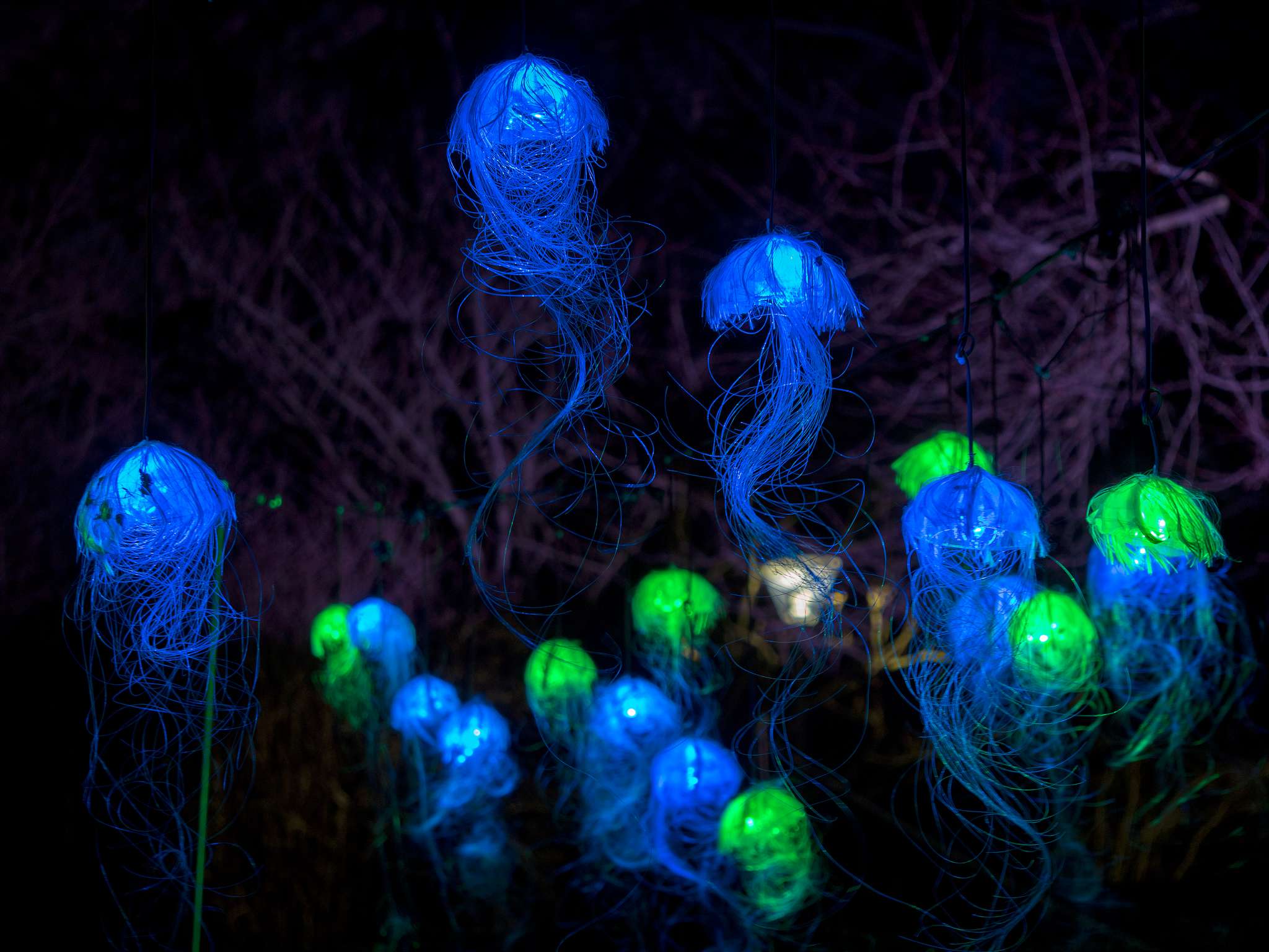 Winterlichter 2018 / 6